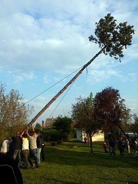 vilonya_3.jpg vilonya_3.jpg